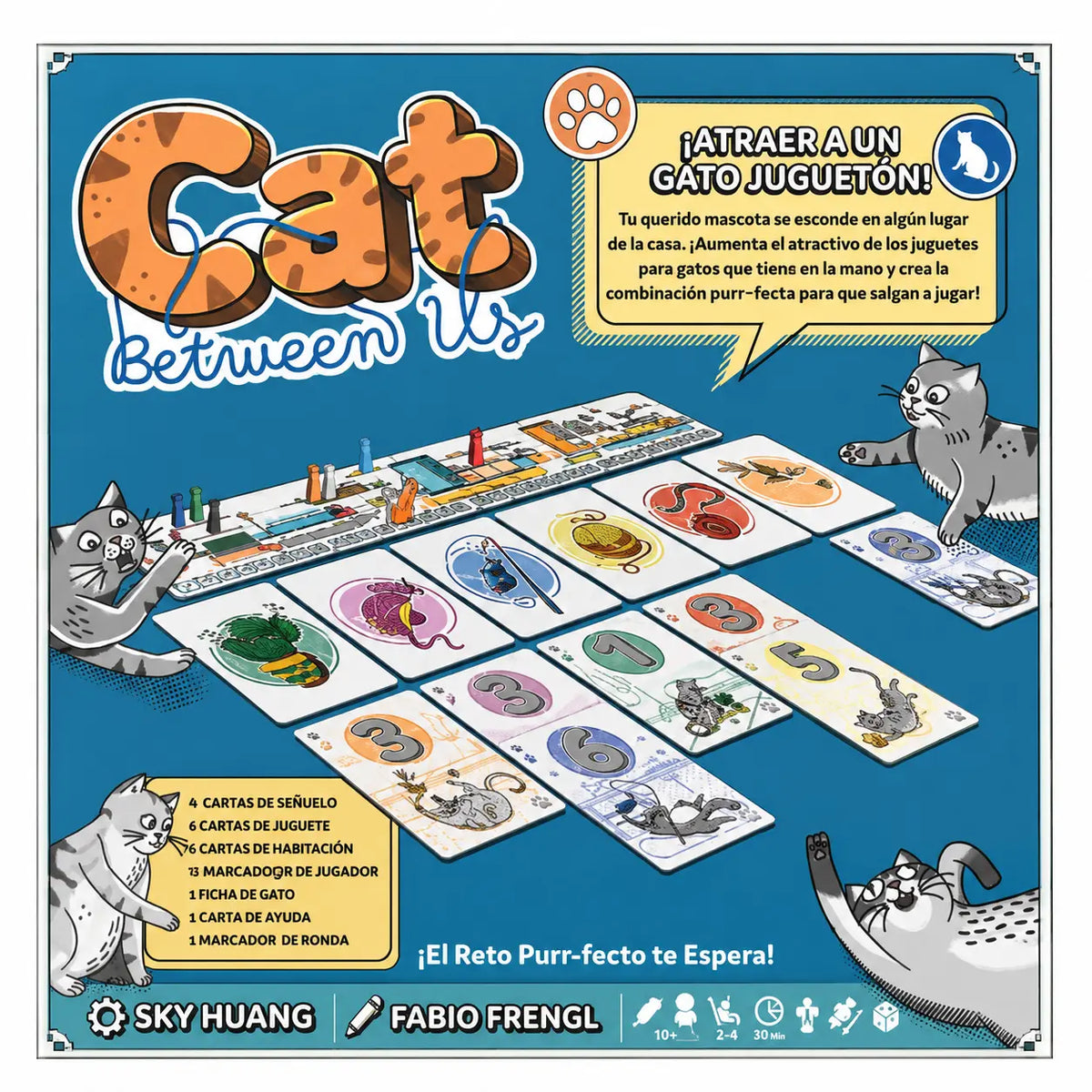 Cat Between Us