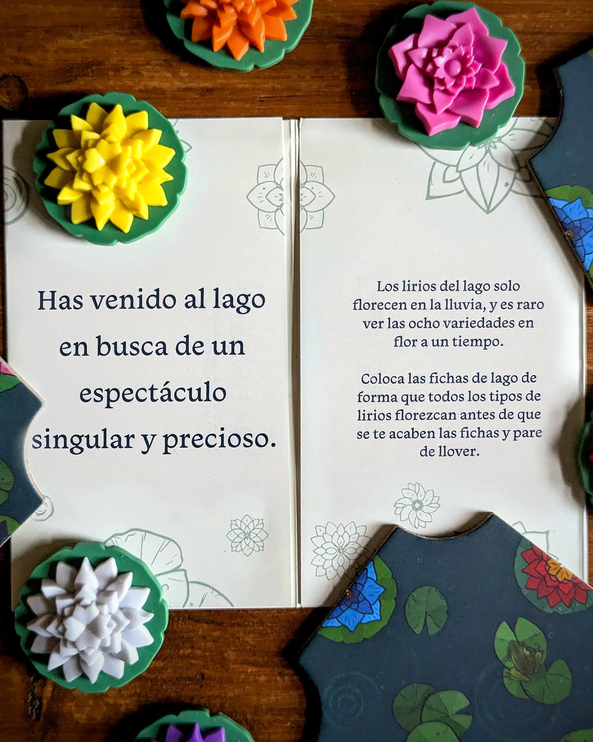 A Gentle Rain: Edición Floresciente