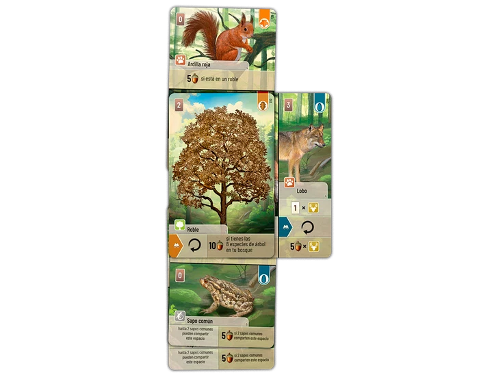 Forest Shuffle