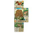 Forest Shuffle