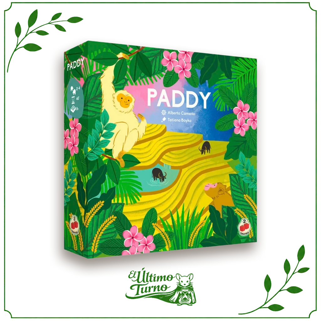 Paddy