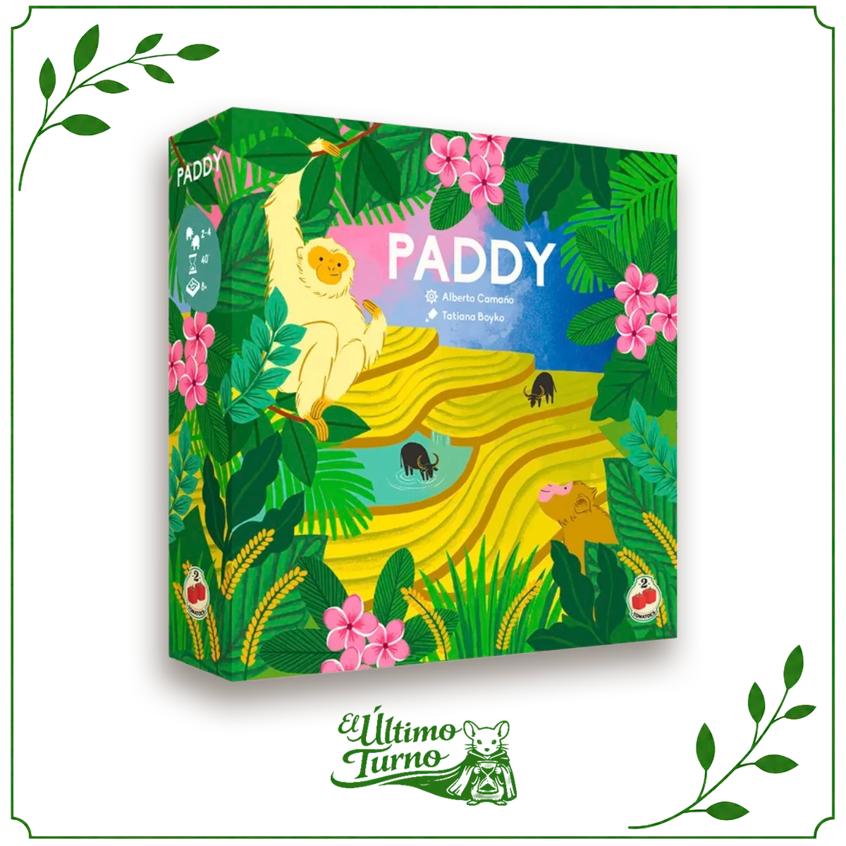 Paddy