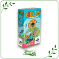 Calcetos